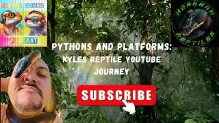 Pythons and Platforms: Kyles Reptile Youtube Journey