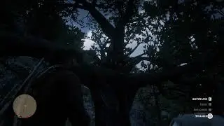 NPC | The tree hermit near Doverhill (