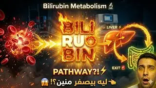 ازاى البليروبين بيتكون ( هنفك شفرات البليروبين )E52.Bilirubin Metabolism