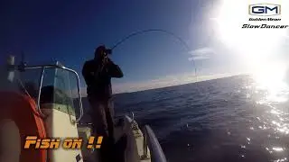 DENTI EN SLOW JIGGING