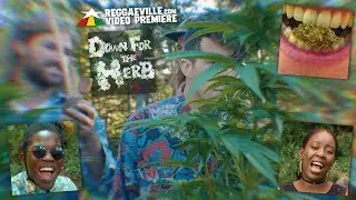 Dub Kartel feat. Blvk H3ro & Jah'mila - Down For The Herb [Official Video 2018]