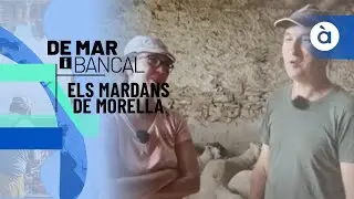 Els mardans de Morella - De mar i bancal