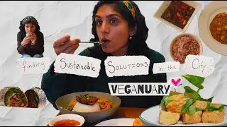 Finding Sustainable Solutions: Vegan Chefs NYC