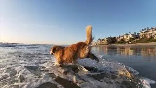 Carlsbad GoPro beach footage (Jan. 2025)