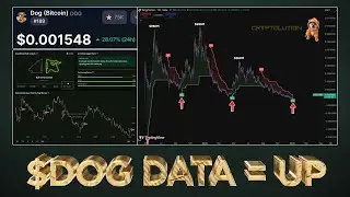 $DOG Data Signals 