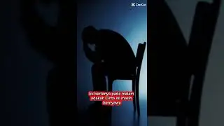 #Jujur