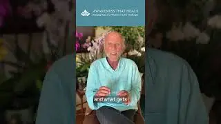 Awareness That Heals - Intrusive Thoughts Are Like Pop-Up Ads