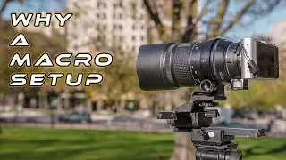 The Ultimate Macro Focusing Rail Slider Setup