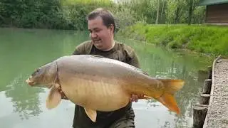 Big mirror carp drill at Jezero Zabar- Donji Zabar- Bosnia and Herzegovina- position 19