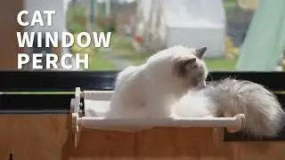 All for paws - Cat window perch