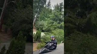 Gutter Cleaning | Seattle ProWash
