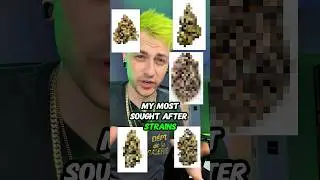 My most sought after strains of all time!