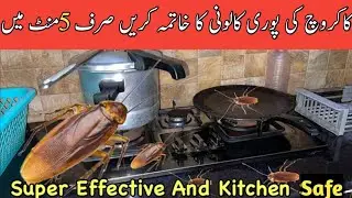 Safe And Effective Way To Kill Cockroaches Remedies To Get Rid Of Cockroaches Kitchen Safe Remedy