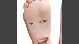 Nohy