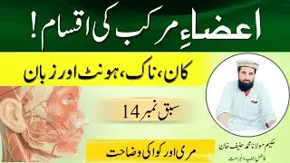 Azaa-e-Murakkab Ki Iqsam | Ear, Nose, Lips, Tongue, Mari Aur Uvula Ki Tafseel