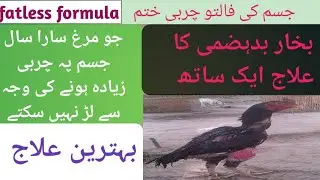 Fatless tank/charbi khatam ✌️جسم کی چربی //ختم/ /موٹاپے کا کامیاب علاج گھریلو