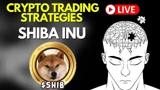 SHIB : DOGECOIN KILLER? : CRYPTO NEWS 2021