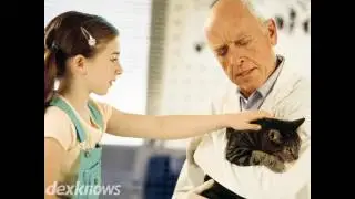 Indian Trail Animal Hospital Spokane WA 99208-9116