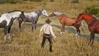 Джон Марстон из Low Honor украл венгерскую полукровку с ранчо Блэкуотер | RDR2