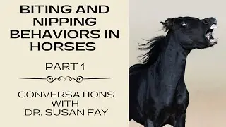 Biting Nipping Behaviors in Horses