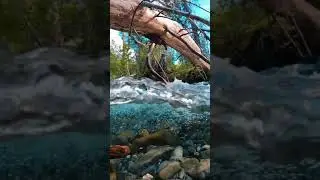 Beautiful Nature | Daily #Shorts | enjoy the beautiful and marvelous nature | Be safe at home...