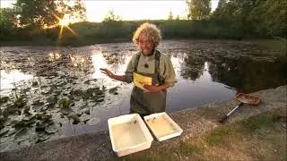 Springwatch 2023 - Aquatic creatures of northern Wales