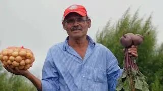 Plataforma Interactiva de Aplicaci&oacute;n de Clima Tropical (PIACT)
