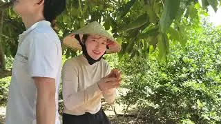 Hè về thăm vườn Ngoại ăn mận toàn bị sâu 