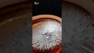 Experiment:  Hot Metal Ball vs Ice Block #shorts #shortsvideo #experiment