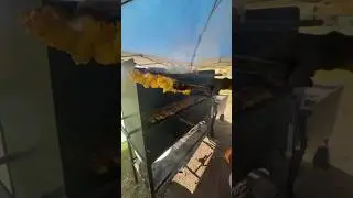 espetinhos basieliros em porto rico, los pinchos mas exoticos que ay