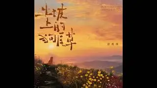 音频版｜谭维维 Sitar Tan【土坡上的狗尾草】