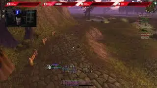 WoW Hardcore Mage + Priest Duo Leveling!