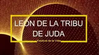 New Wine - León De La Tribu De Juda (FV)