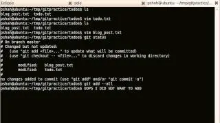git-reset-HEAD.avi