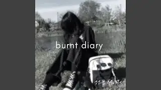 burnt diary
