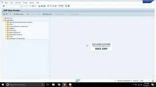 sap fico free videos - Basic settings sap fico enterprise structure