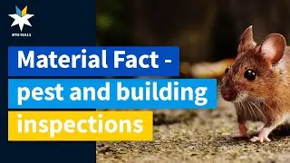 Real Estate | Material Fact - pest and building inspections
