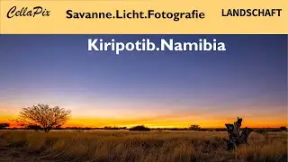 Savanne im besten Licht: Landschaftsfotografie auf einer Farm in Namibia
