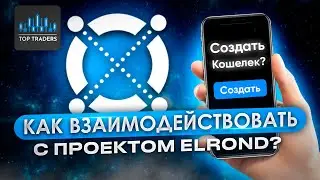 Elrond в деталях - Maiar, DEX, Launchpad, Arda