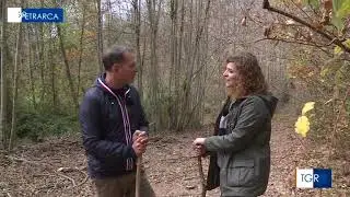 Il Sentiero delle Storie - TGR Petrarca