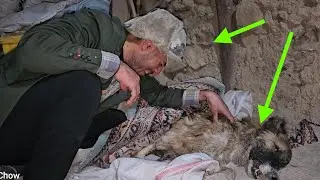 &ldquo;The End of Loyalty&hellip; The Fisherman&rsquo;s Dog That Broke a Couple&rsquo;s Hearts 💔🐕&rdquo;