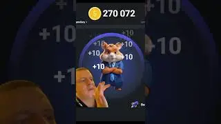 КЛИКАЕШЬ?) #notcoin #казик #mellstroy #топ #хомяк #реки  #bitcoin #hamsterkombat #подпишись #меиы