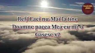 Negativ Eu la tine Vin~Dorin Covaci +Versuri