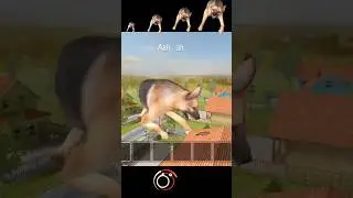 Scary dog size in schoolboy runaway #shorts #schoolboygame #scarygame