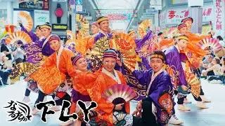 【公式】なるたか2024『FLY』2024よさこい全国大会_帯屋町会場