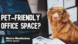 Pet Friendly Office Space?