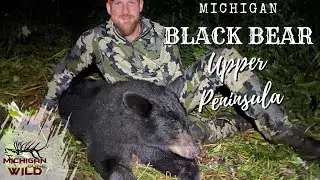MI Public Land Bear Hunt | Upper Peninsula