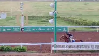 CAYMANAS PARK EXERCISE TRACK SHANE ELLIS/  CROWN CHASER ,RUN JULIE RUN/ RADDESH ROMAN 22/07/24