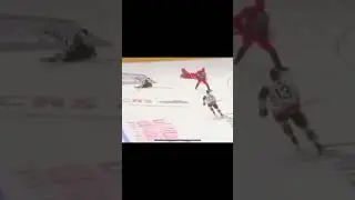 Ex NHL player Adam Johnson freak accident ice hockey RIP 💛🖤