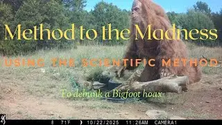 Bigfoot Sighting!